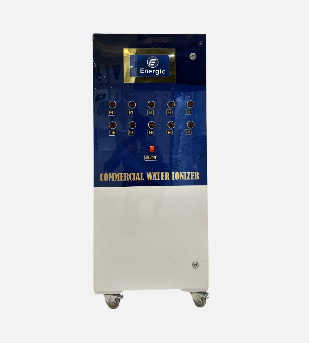 Energic 1000 LPH Commercial
